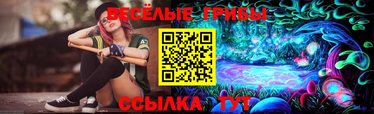Галлюциногенные грибы ЛСД  Вход с VPN  Гусиноозёрск 
