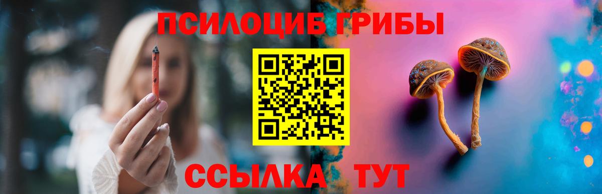 Псилоцибиновые грибы мицелий  Гусиноозёрск 
